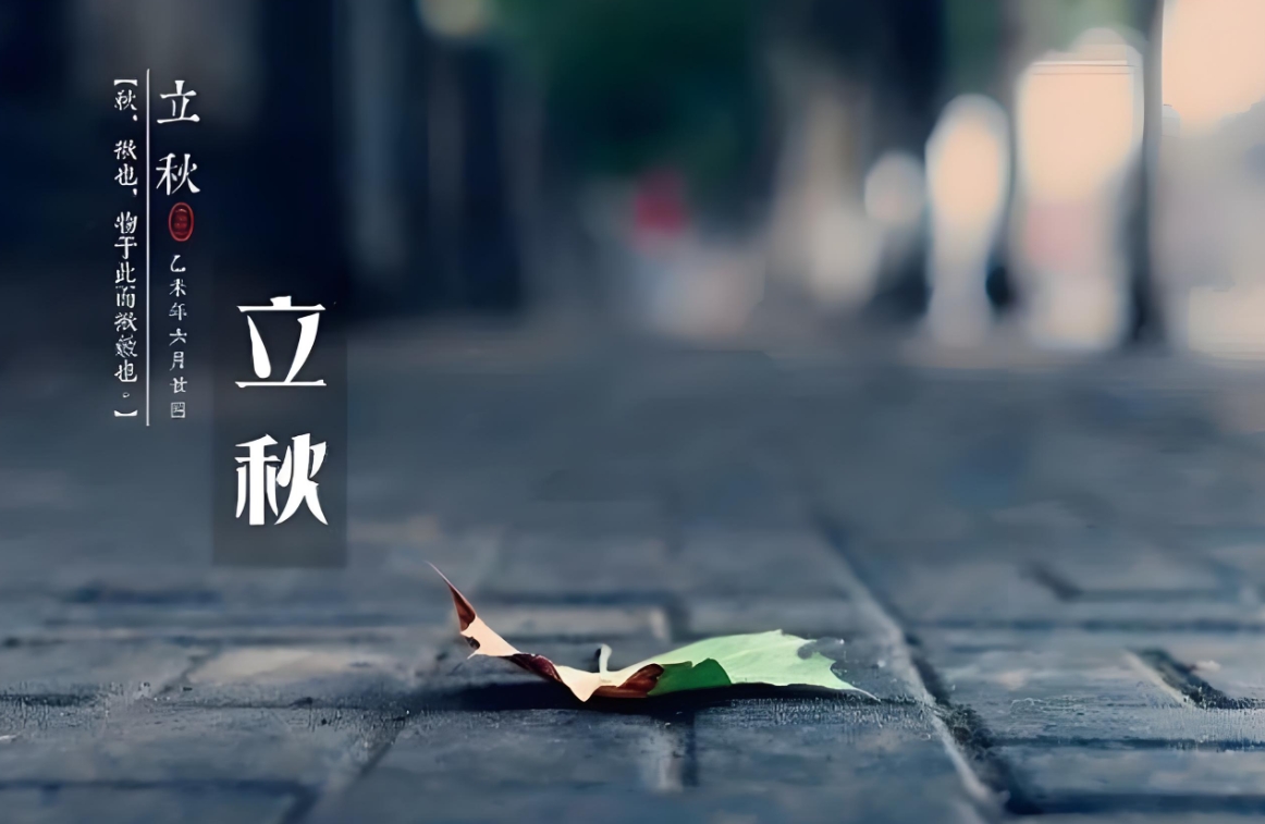 ΢�Ž�ͼ_20240806155316.png
