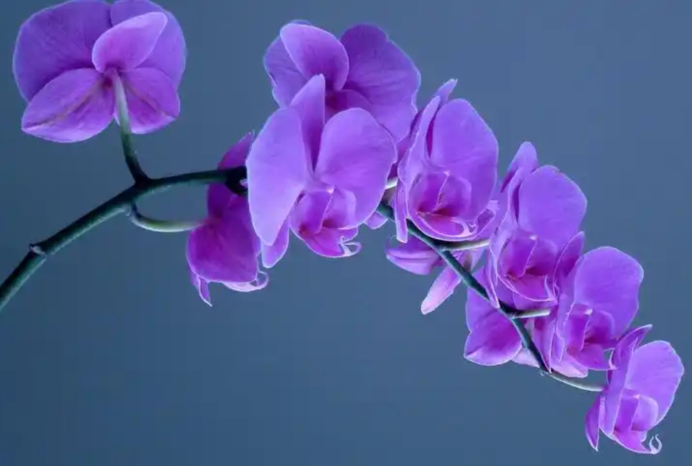 ΢�Ž�ͼ_20241211140138.png
