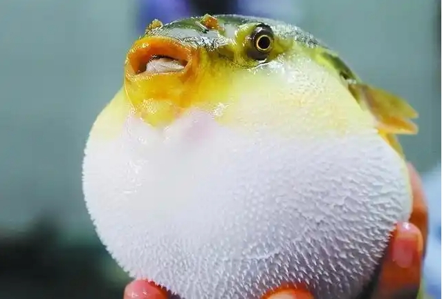 ΢�Ž�ͼ_20250305142600.png