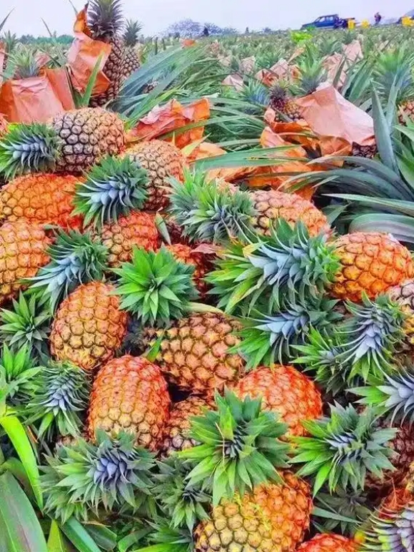 ΢�Ž�ͼ_20250514151047.png
