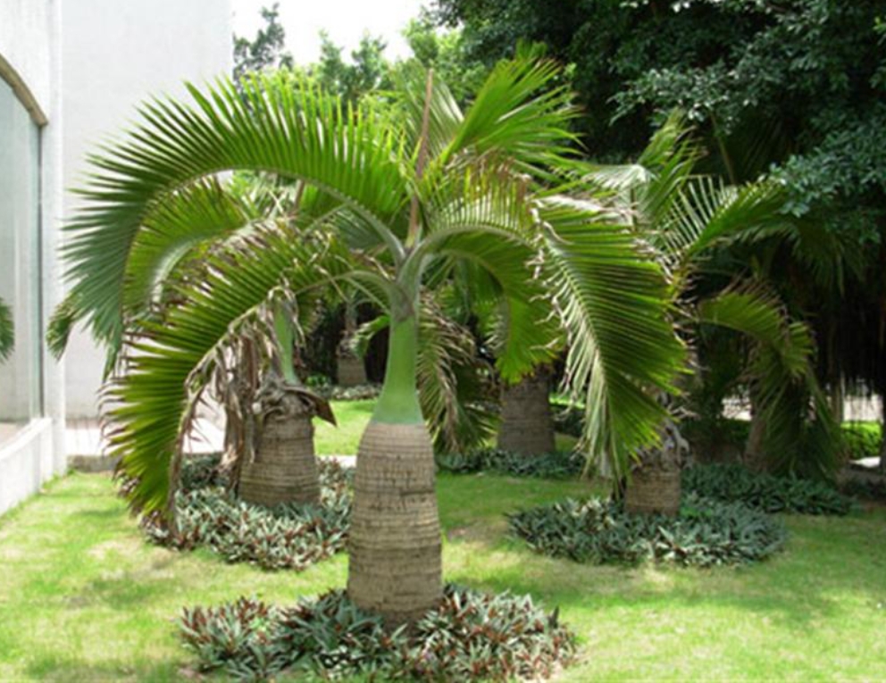 ΢�Ž�ͼ_20250519144030.png