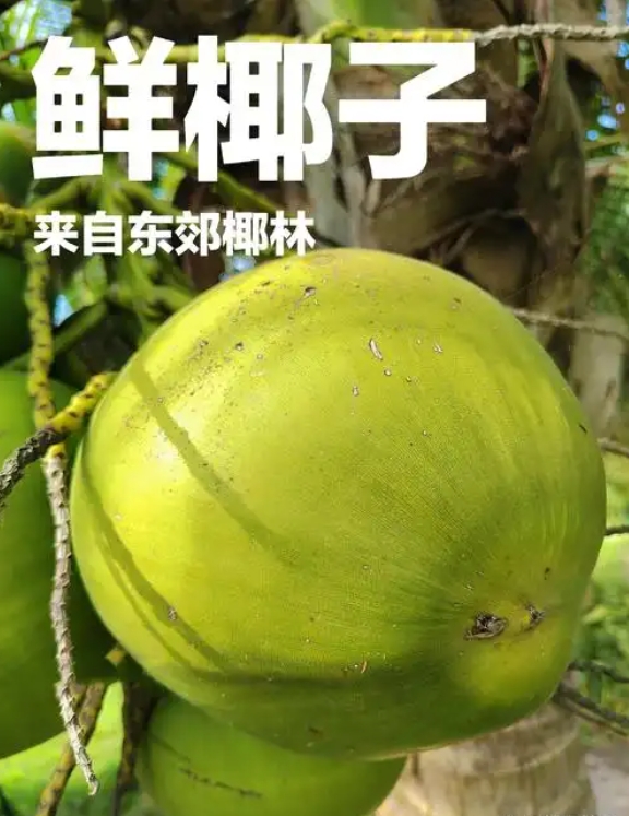 1747902617234629.png 微信截图_20250522145105.png
