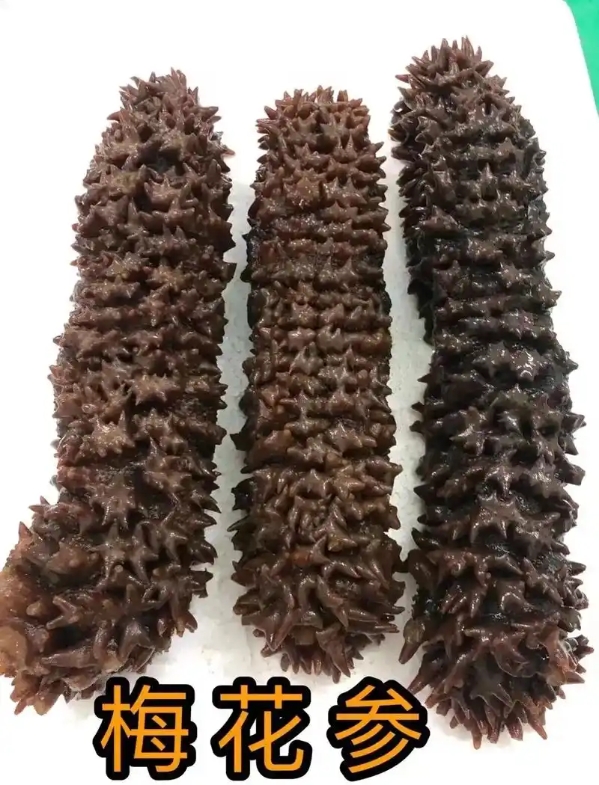 ΢�Ž�ͼ_20250606115026.png