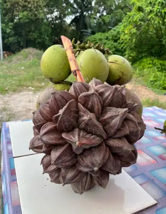 1749285421135388.png 微信截图_20250607150705.png