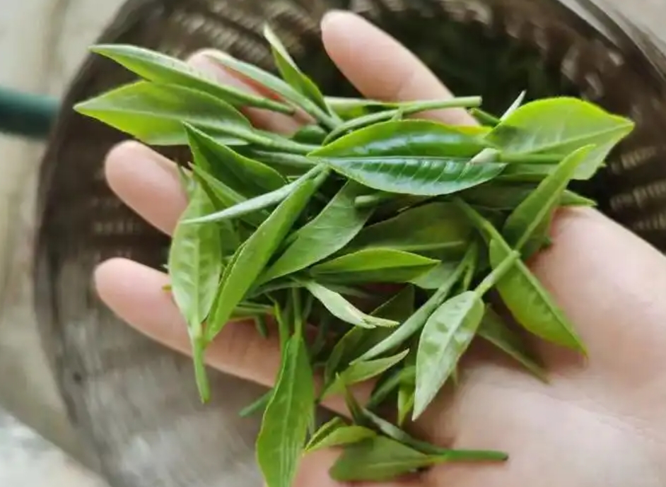 1750149957803425.png 微信截图_20250617155611.png