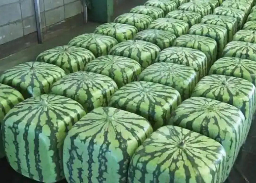 ΢�Ž�ͼ_20250703140706.png