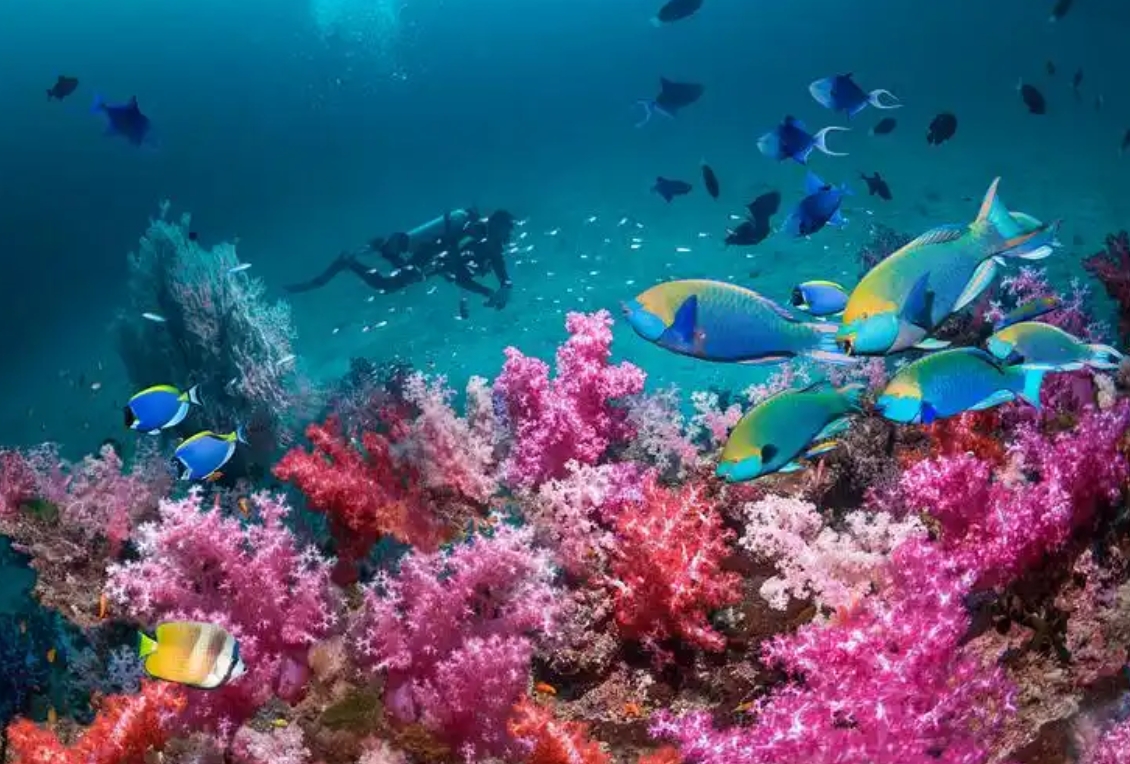 ΢�Ž�ͼ_20250709155848.png