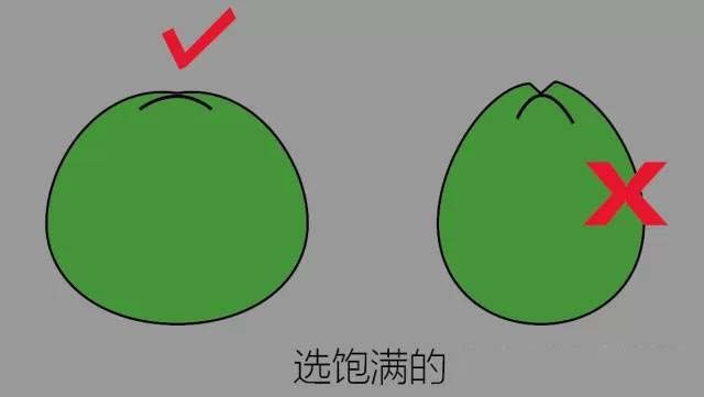 yezijiqiao3 yezijiqiao3