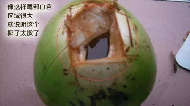 yezijiqiao8 yezijiqiao8
